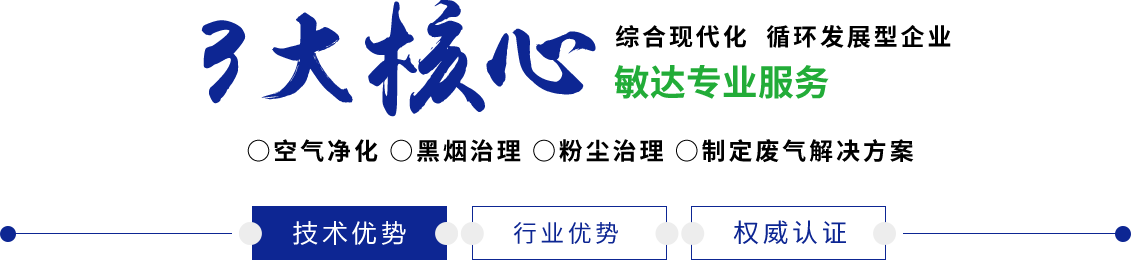 中国农村老头操屄HD敏达环保科技（嘉兴）有限公司